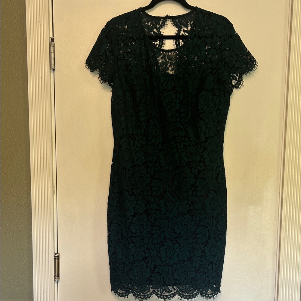 Banana Republic Hunter Green and Navy Lace Holiday Mini Dress - Picture 5 of 5